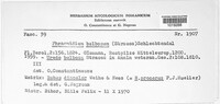Phragmidium bulbosum image